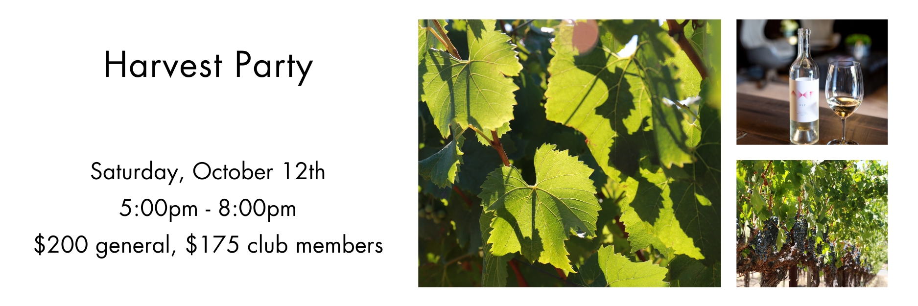 AXR Napa Valley Events