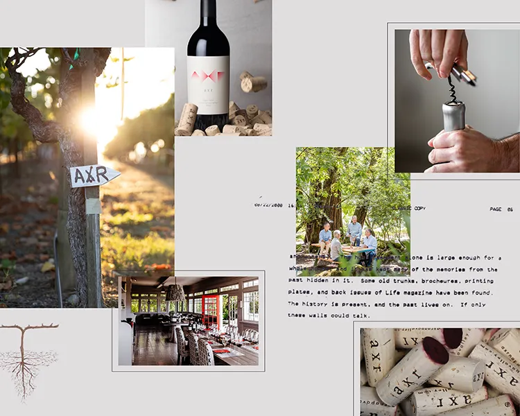 Collage of AXR images